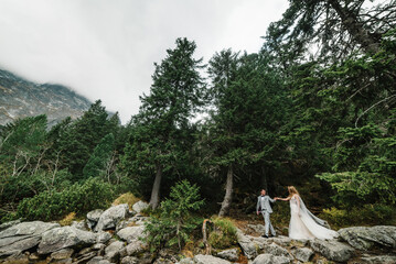 The bride and groom near the lake in the mountains. Newlyweds together against the backdrop of a...