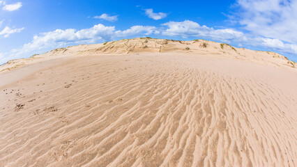 Beach Dunes Wetland Dry Sand Textures Tropical Coastline  Landscape