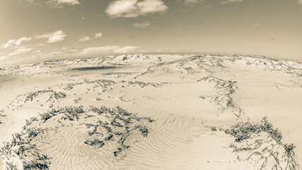 Beach Sand Dunes Ocean On Horizon Vintage Sepia Landscape