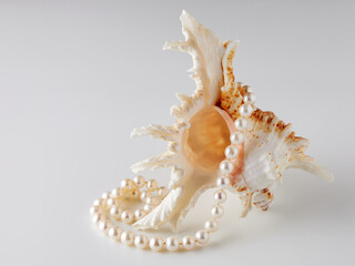 Obraz na płótnie Canvas incredibly beautiful seashell on a white background close-up with a pearl necklace