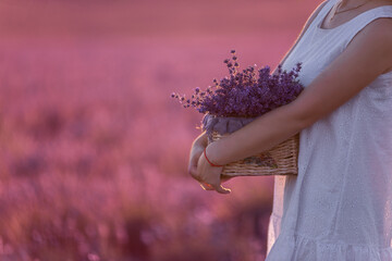 Young woman in white dress stands with handmade basket in hands in purple lavender in field. Close up portrait of millennial girl holding bouquet flowers. Allergy concept. Production natural perfumery