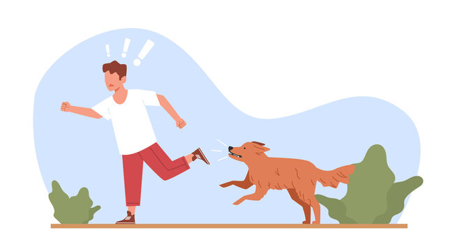 Little boy runs away from vicious and aggressive dog. Afraid child in dangerous situation. Terrified kid running, homeless animal attacking. Cartoon flat isolated illustration. png concept
