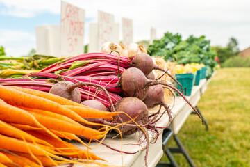 Fresh ripe harvested vegetables at farmer market outdoor in the city. Organic vegetables from small local farm carrot and beet. Farmer selling fresh harvest crops. - 590602538