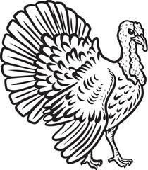 Fototapeta na wymiar vector peacock, turkey animal design