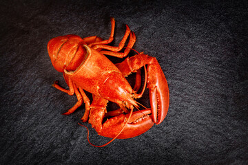 A delicious freshly steamed boiled red lobster on black stone