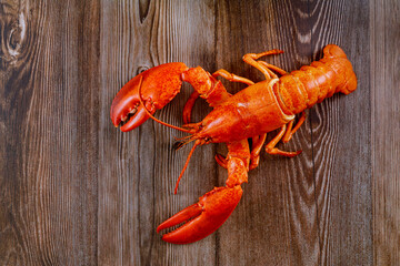 Freshly steamed red lobster that has been boiled to perfection on wood background