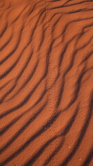 El desierto de Wadi Rum y sus texturas.