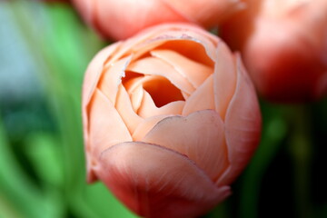 Nahaufnahme einer orangen Gerberablüte