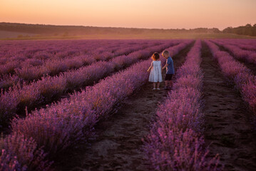 Playful cute boy girl are playing in rows of lavender purple field at sunset. Small couple runs after each other, catches up, holding hands. Cheerful, happy childhood. Travel in countryside. Allergy