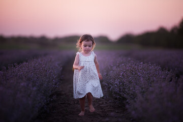 Little girl in flower dress runs barefoot across field of purple lavender among the rows at sunset. Toddler child have fun on walk in the countryside. Allergy concept. Natural products, perfumery.