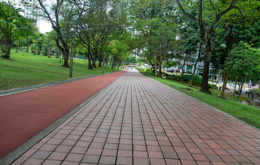 Jogging track in city park with trees and fresh morning feel