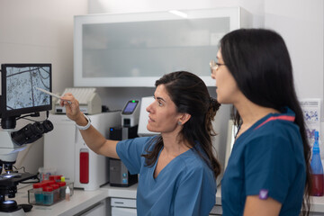 female veterinarian analyzing image on the digital microscope screen.