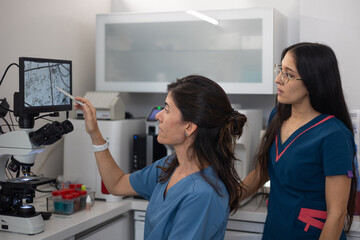 female veterinarian analyzing image on the digital microscope screen.