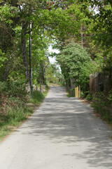 Fototapeta na wymiar path in the park