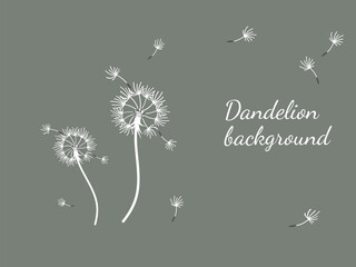 Abstract background dandelion design for decoration design.