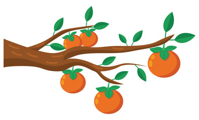 Persimmon Branch Illustration
