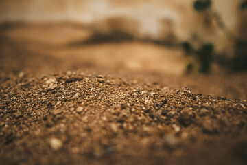 Sand and soil