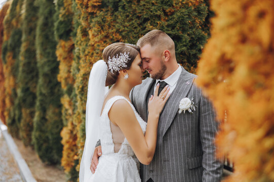 The bride and groom snuggled up to each other tenderly. A couple of newlyweds, bride and groom, at a wedding in the nature of green trees. photo portrait Wedding couple