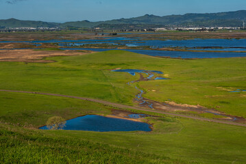 Pastoral scene of  green fields in Fairfield, California, open space on a clear sky day rainy day featuring a very green pasture, a vernal pool and the Suisun Marsh