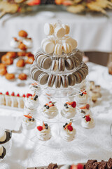 Candy bar. Table with sweets, candies, dessert. cakes and berries in the candy bar. Candy bar with delicious mini cakes, selective focus