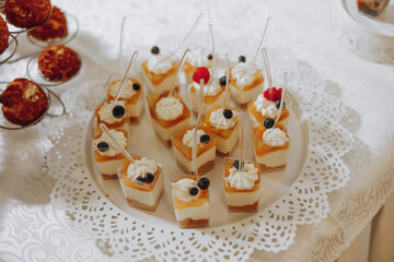Candy bar. Table with sweets, candies, dessert. cakes and berries in the candy bar. Candy bar with delicious mini cakes, selective focus