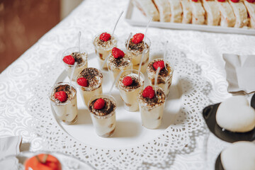 Candy bar. Table with sweets, candies, dessert. cakes and berries in the candy bar. Candy bar with delicious mini cakes, selective focus