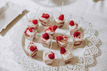 Candy bar. Table with sweets, candies, dessert. cakes and berries in the candy bar. Candy bar with delicious mini cakes, selective focus