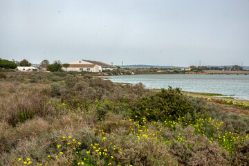 Fototapeta na wymiar Landscape.View of the natural park of Los Torunos, located in the town of El Puerto de Santa Maria, province of Cadiz, Spain