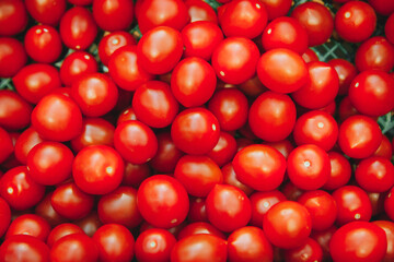 red tomatoes background.