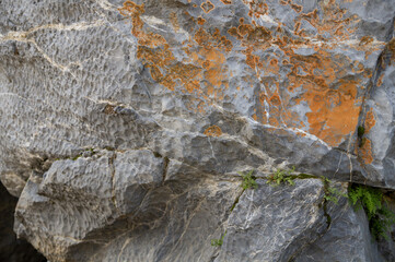 Fragment of the texture of natural gray stone with red lichen turned by water, close-up.