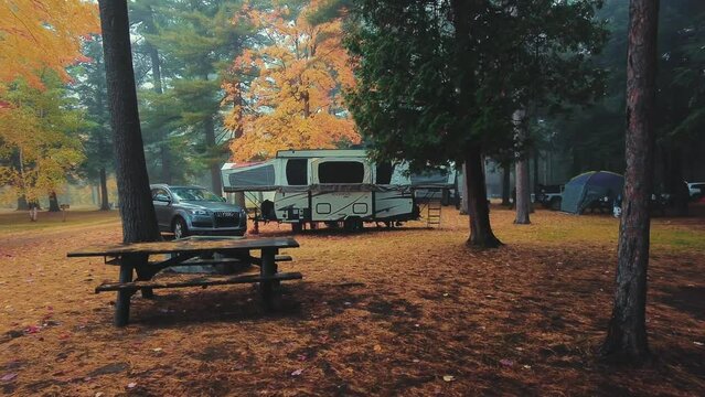 Beautiful view in camp site woods