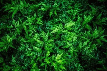 lush green plant with abundant leaves in close-up view. Generative AI