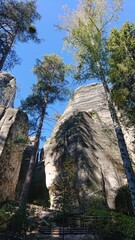 Landscape, city skyline, skyline, sunset, sky, nature, view, forest, winter, sunset, sunrise, city, romantic scenarios, animals