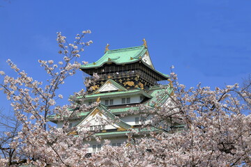 満開の桜と城