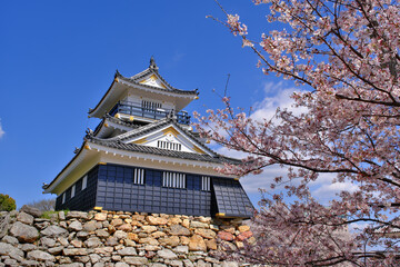 桜咲く浜松城　静岡県