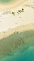 Beautiful ocean lagoon overview with white sand and palm trees in Honolulu Hawaii. Aerial drone top-down view.