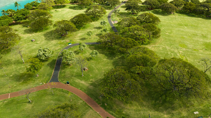 Green park area with trees and walk paths next to the ocean. Aerial drone top-down view