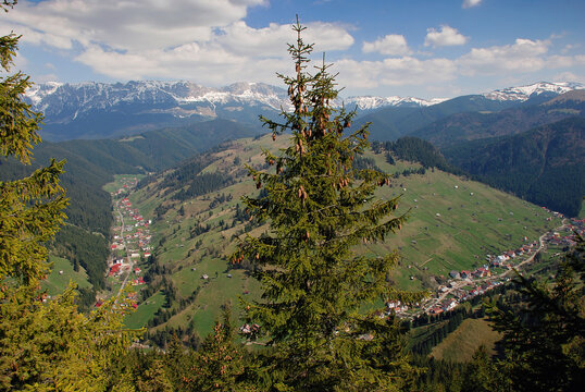 View of Moeciu village and Bucegi mountains. Brasov, Romania