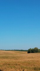 Obraz premium Landscape, city skyline, skyline, sunset, sky, nature, view, forest, winter, sunset, sunrise, city, romantic scenarios