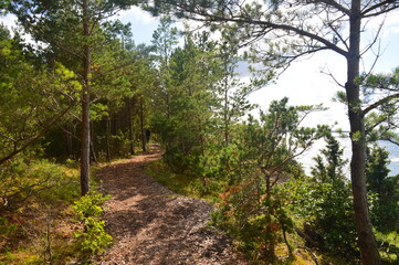 Panga Pank or Panga Cliffs in Saaremaa Island, Estonia