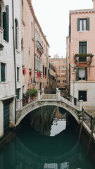 Fototapeta premium Landscape, city skyline, skyline, sunset, sky, nature, view, forest, winter, sunset, sunrise, city, romantic scenarios