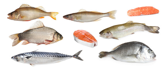 Collage with different types of raw fish on white background