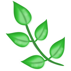 green leaves isolated on white