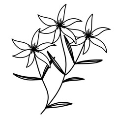 Flower Doodle Vector Illustration 