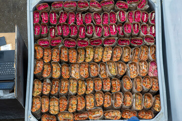 Fresh beautiful multicolor roses flower for floral, Multicolor rose flowers summer roses, roses for export