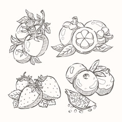hand drawn fruits