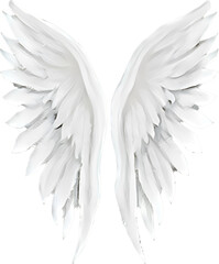  angel wings isolated on white, oil painting, generative ai