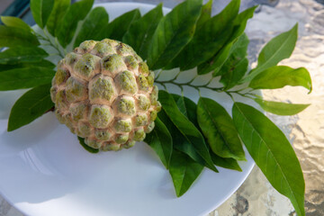 Hand picked Cherimoya
