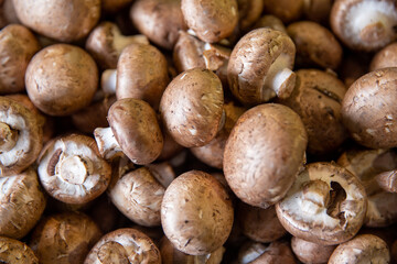Brown Crimini Mushrooms