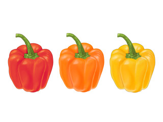 Hand drawn illustration of red, orange and yellow paprika.